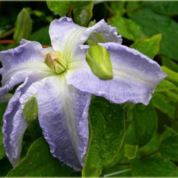 Вогні догорають