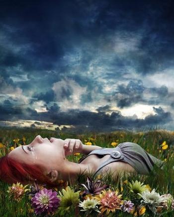 Мій край, моє небо