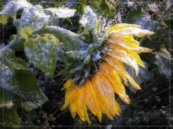 А холодить часом і влітку