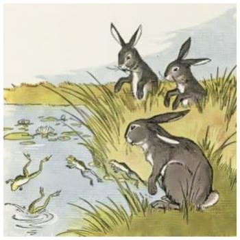 Зайці та жаби