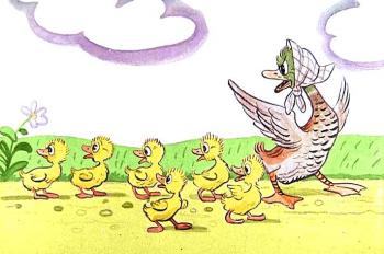 Уроки для невмілих каченят