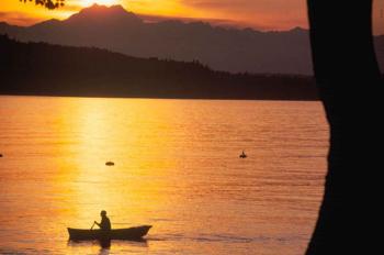 Проти течії