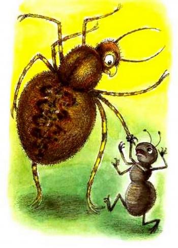 Кисіль за відмінками