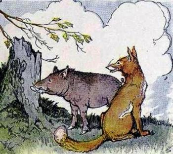 Кабан та лисиця