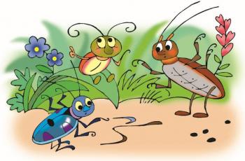 В калюжнім морі літнього дощу