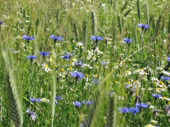 Куточок дитинства на Березняках