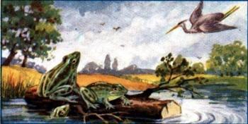 Як жаби захотіли царя