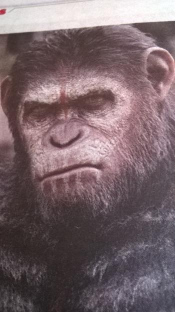 Ой, не бажайте зла отим, хто злий