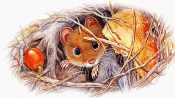 В ранковий час осінньої пори