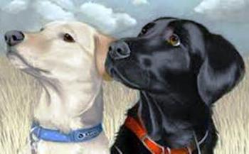 Селянин та собаки