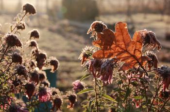 Останній день осені