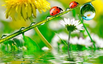 Способи збільшення та зменшення тертя в живій природі