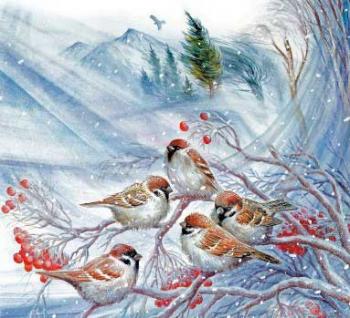 Горобці на калині