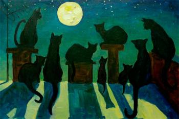 Чому вночі ми майже не розрізняємо кольори