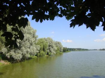 Привітання з днем народження