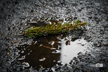 В очікуванні весни