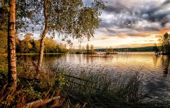 Байки болотяника