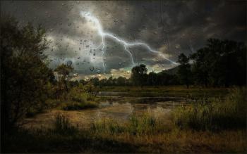 МАЕСТРО ДОЩ