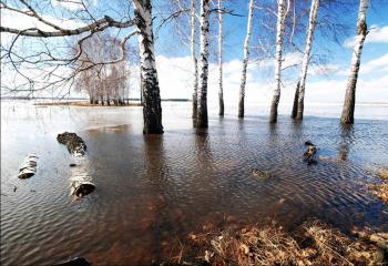 ВЕСНЯНА ПОВІНЬ