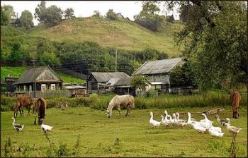 ВЕСНЯНИЙ РАНОК У СЕЛІ