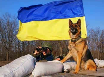 Щоденник чотирилапого бійця