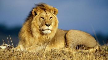 Україна ще є на карті