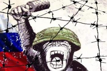 Ой що на болотах творилось цілий день