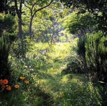 Щаслива мить