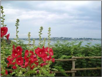 Йде по вулиці старенька