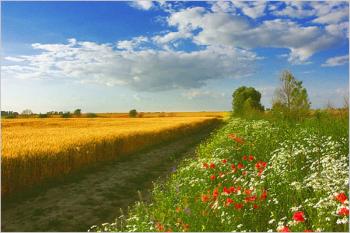 Кінець літа