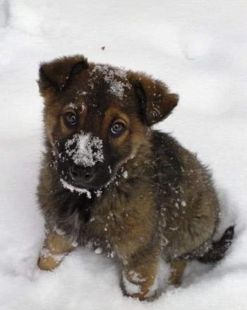 Що таке любов