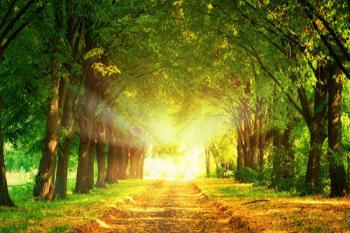 Уходит лето