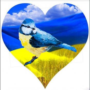 Маленька синичка від вибуху хвилі...