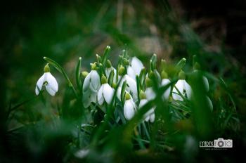 Без тисяч слів