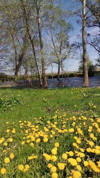 Хай буде Весна!