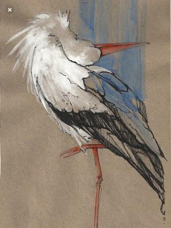 Бусли вернулись