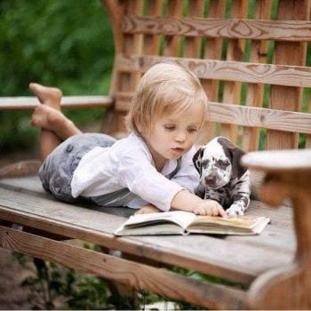 Книга життя