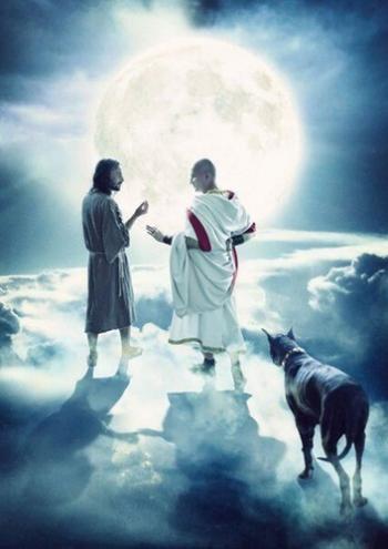 Фатальне рішення