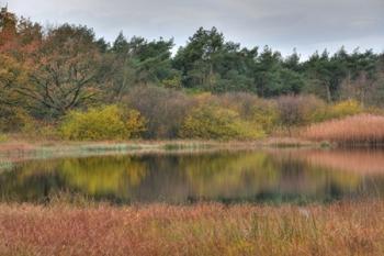 Життєві принципи