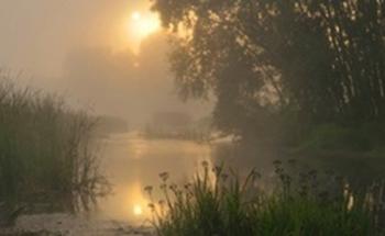 Ранкове качине полювання