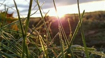 Дочекайся мене