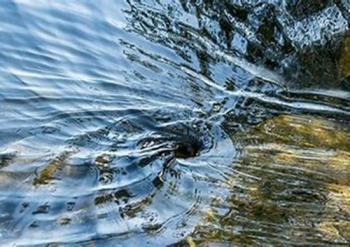 Водокрут кохання