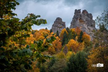 Кольори Карпат