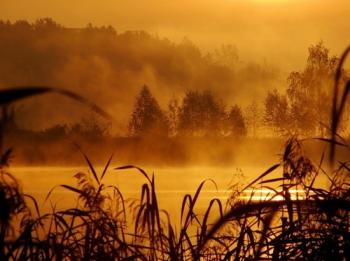 Мисливський реквієм