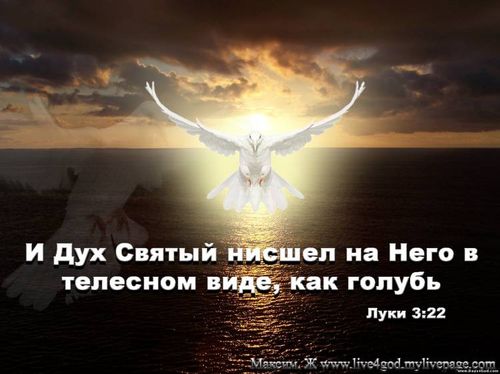 Павлюченко Любов