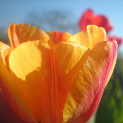 Каранда Галина