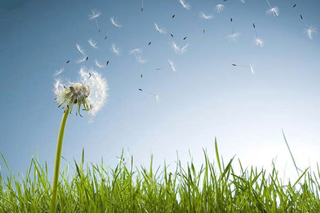 Наталя Данилюк