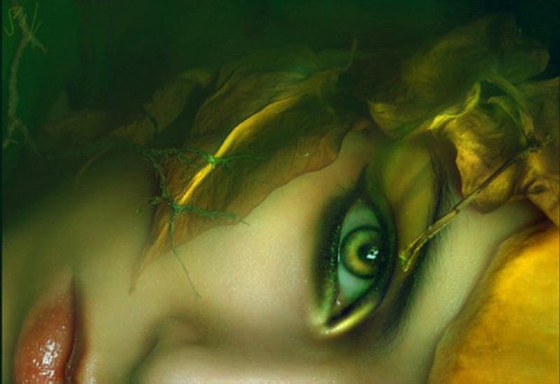 Олена Вишневська