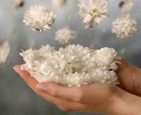 Ольга Моцебекер