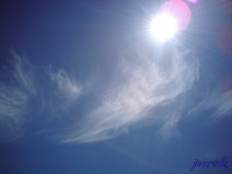 НАТАЛЯ ПАНЬКІВ